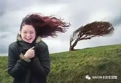 北方过冬靠暖气,南方过冬靠一身正气
