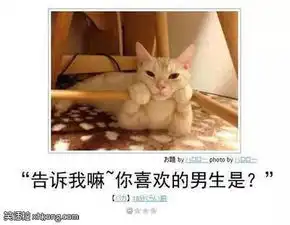 搞笑图片那些年的审美,想回到那个欣赏胖子的时代
