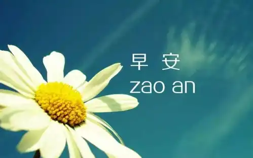 适合自己心情的早安句子太贴心了
