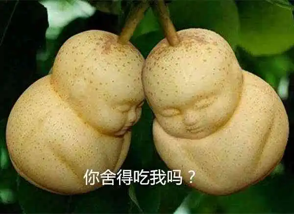 西游记的四种长生不老药,孙悟空吃过三种,最后一种不敢尝试
