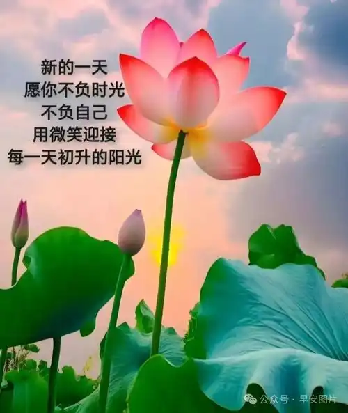 6月28日周五最新早上好祝福语图片大全精选早安问候祝福图片
