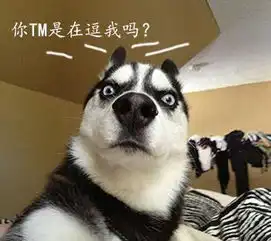 哈士奇搞笑图片表情包下载哈士奇犯二表情包下载动态11张腾牛下载
