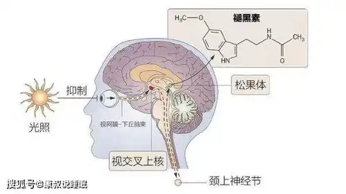 为什么更年期女性更容易失眠该如何改善
