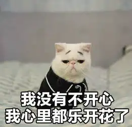 我心里都乐开了花表情包完整版下载我心里都乐开了花表情包高清无水印极光下载站
