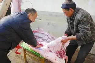 杀猪进刀要领
