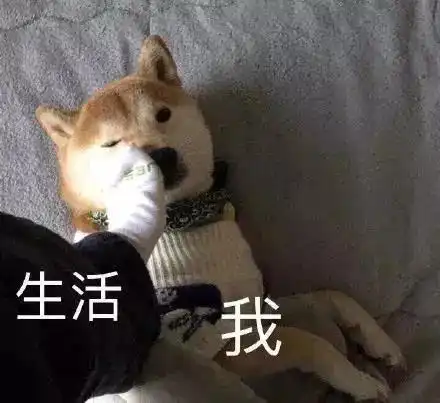 搞笑趣图段子这图案是什么,感觉姑娘肯定有故事
