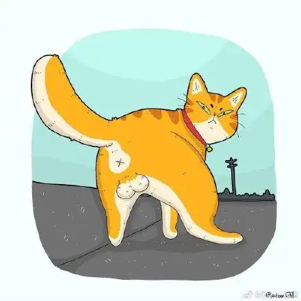 沙雕猫咪插画,真的很憨憨
