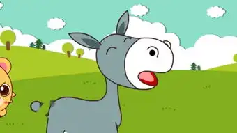 小毛驴
