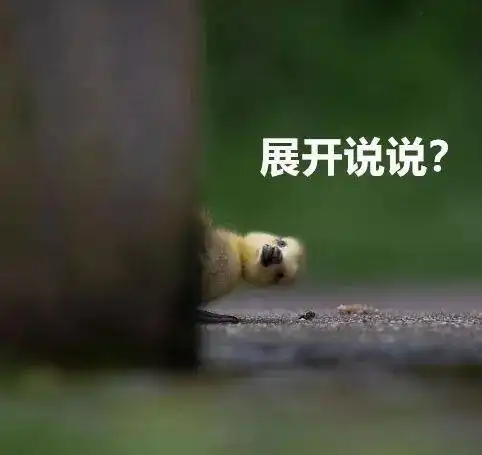 2021不正经动物摄影大赛回归,引全网爆笑哈哈哈比我都像人
