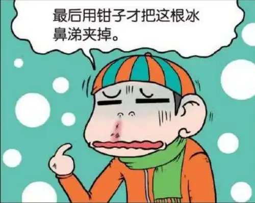 爆笑最近天气太冷,呆头便便都被冻住了
