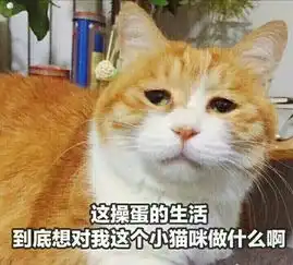 身边的人老是说我男朋友丑怎么办
