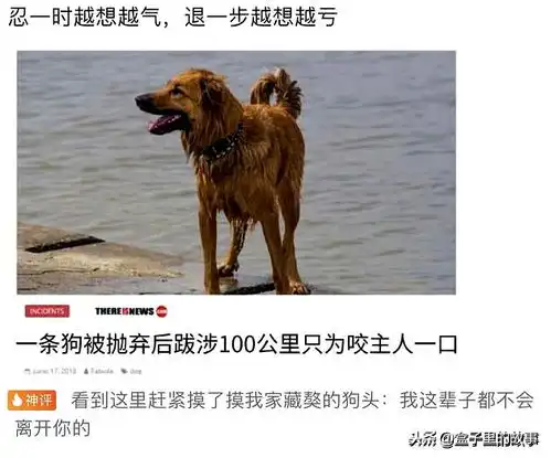 开心一刻,这些搞笑图片专治你的不开心
