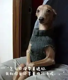 看哥这艺术照的姿势不错吧
