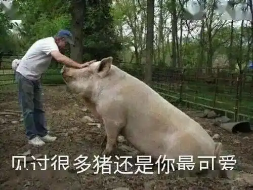 你永远不知道自己精心挑选的衣服在别人眼里能丑到什么程度
