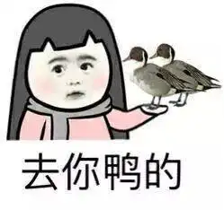 节前指南美好生活,远离杠精
