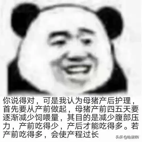 不想回应别人问题时装疯卖傻专用表情包
