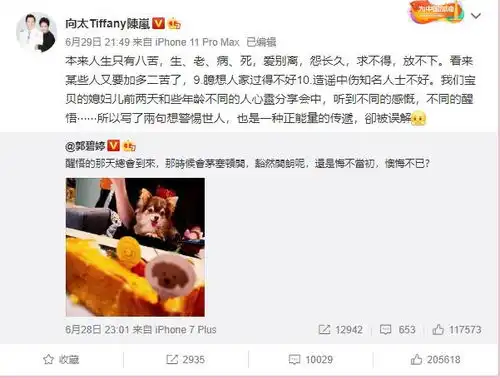 向太官宣郭碧婷怀孕,向佐母子长篇大论,郭却只回个表情包
