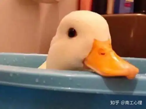 在吗你姐姐漂亮么
