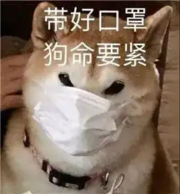 来这里,我氧你啊