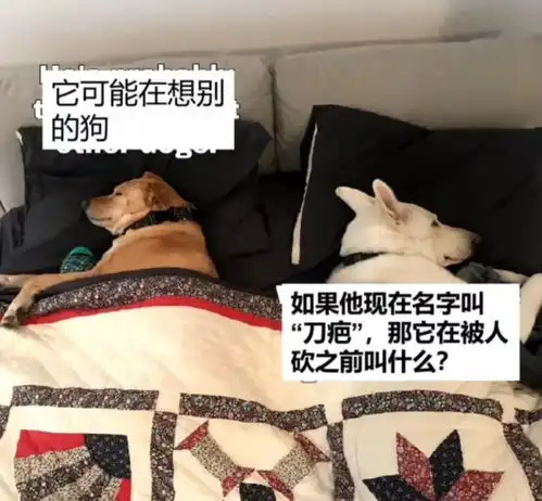 搞笑趣图有事直接奔主题,不要拿你的无知,挑战我的黑名单腾讯新闻
