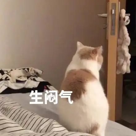 摆摊需谨慎好不容易摆摊赚钱了,结果被收场地费
