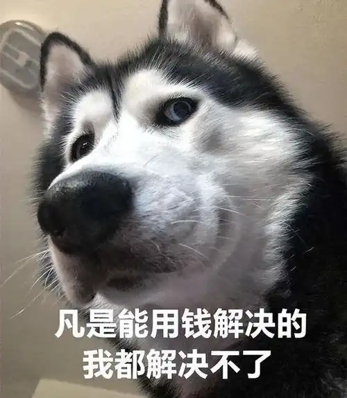 狗狗最讨厌这些惩罚,主人别再折磨它了
