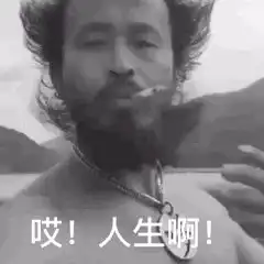 生活不放过你,你也别放过它
