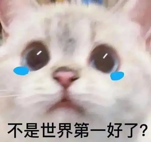 笑话十条楼主开一小超市,今天早上过来一酒仙
