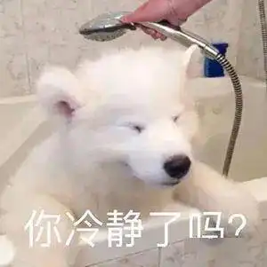 沙雕表情包等你回消息的我
