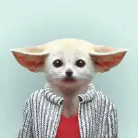 动物逗趣头像搞笑有趣动物头像图片
