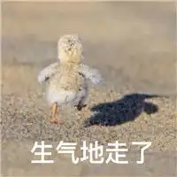 我看你就是在为难我鸭鸭表情包你说我是不是你的小可爱鸭表情包下载乐游网游戏下载
