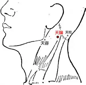 低头族易得颈源性头痛,快用这个穴位来缓解
