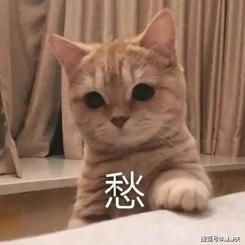 最新表情包图片就不起床,我还能睡
