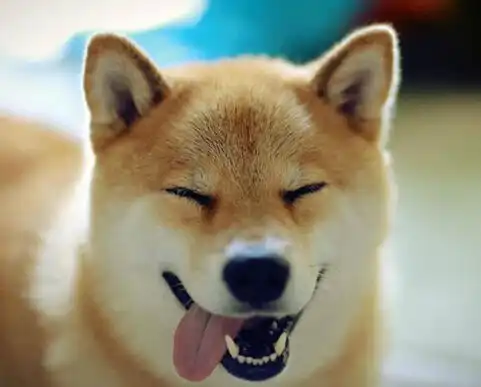 笑成这样真是醉了
