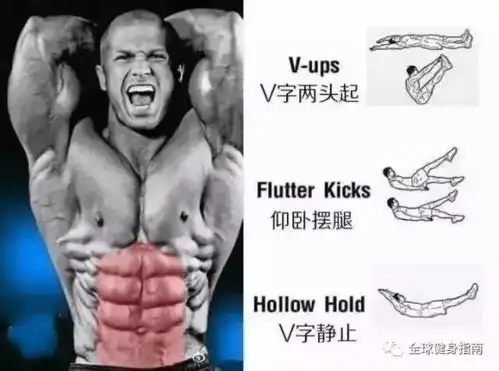 6张图告诉你,腹肌的每一部分应该怎么练
