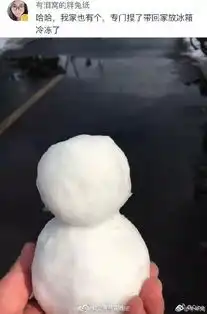 南方姑娘开冰箱显摆宝贝网友看完笑岔气
