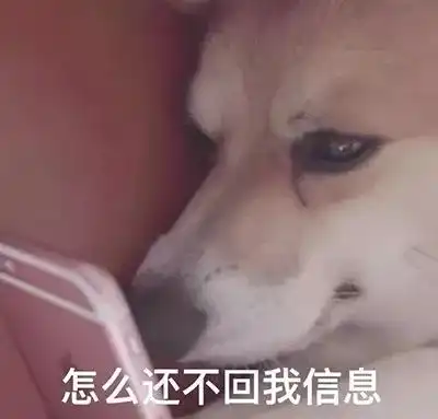让鞋狗不心酸,舔狗不卑微的原价抢鞋指南
