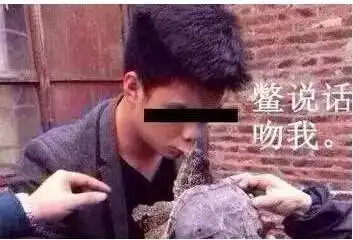 笑惨三生三世十里桃花最全段子集合已被网友玩坏
