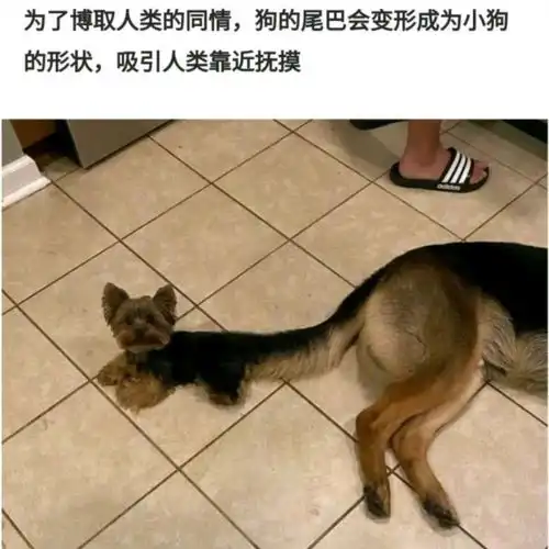 无标题
