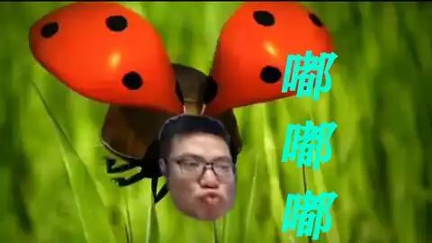 搞笑动画片minuscule微观小世界昆虫总动员苍蝇与瓢虫之间恩怨二
