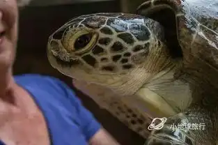 爸爸去哪儿现实版明星还不如你去的地方好玩
