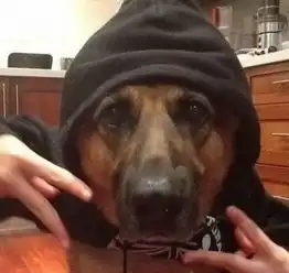 杀一个人,是杀人犯杀十个人,是杀人狂...
