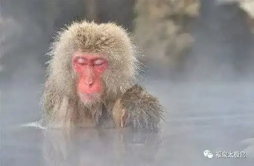 有种病一查出来就是晚期,你不可不知
