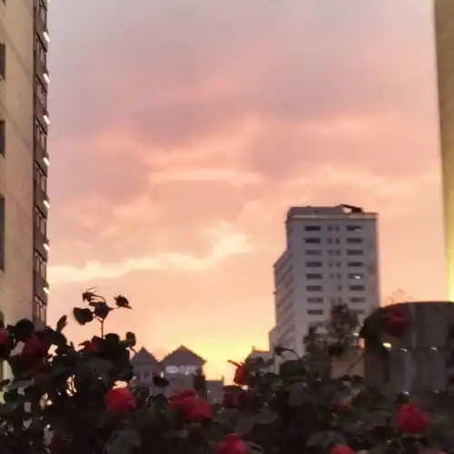 生活中有趣的小确幸
