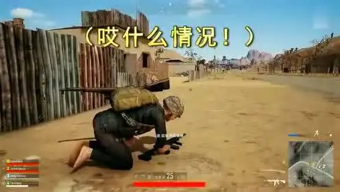 我的爆笑吃鸡日常之有毒的砖家
