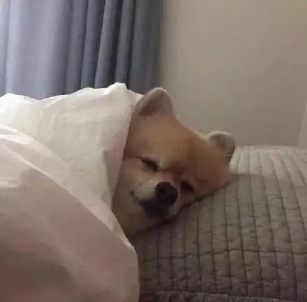头像世事无常,我们要随遇而安

