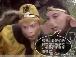 搞笑征婚
