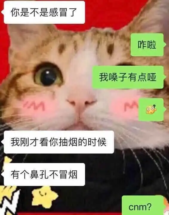 经典搞笑滑稽图片语录,哈哈太幽默情真笑死人啦
