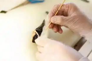 可以吃的精致寿司鞋子,你可下得去口
