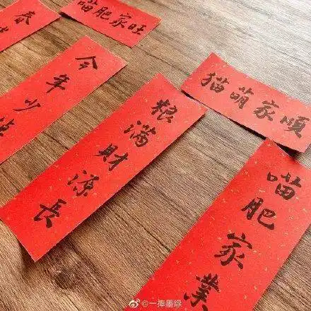 大开眼界网友晒春联,太真实了
